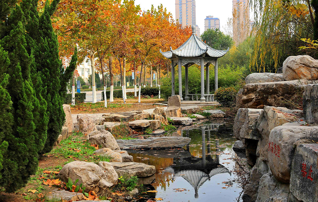 學校風景5